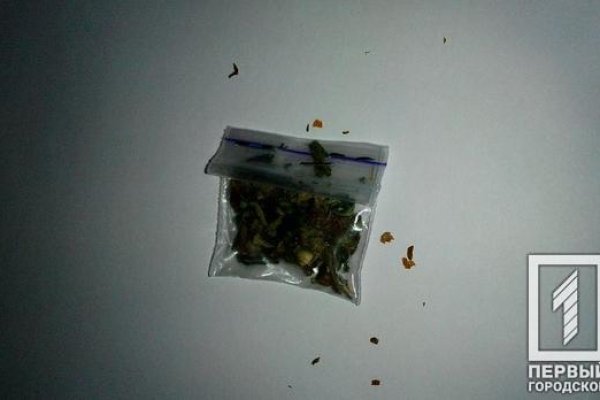 Ссылка на кракен в браузере