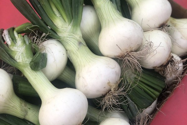 Кракен ссылка список