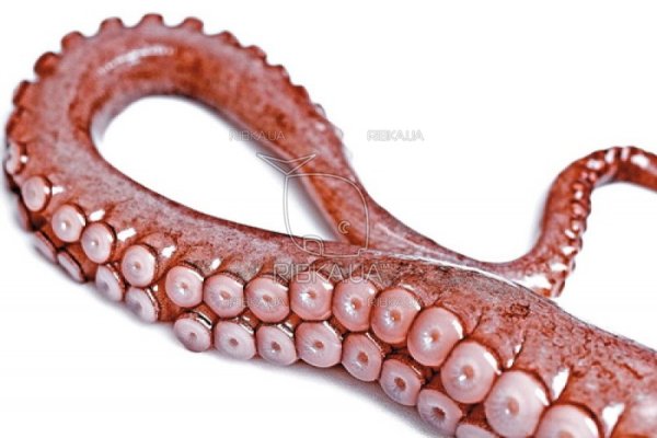 Кракен сайт дарк нет