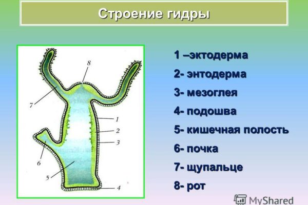 Актуальная ссылка на кракен в тор 2krnmarket
